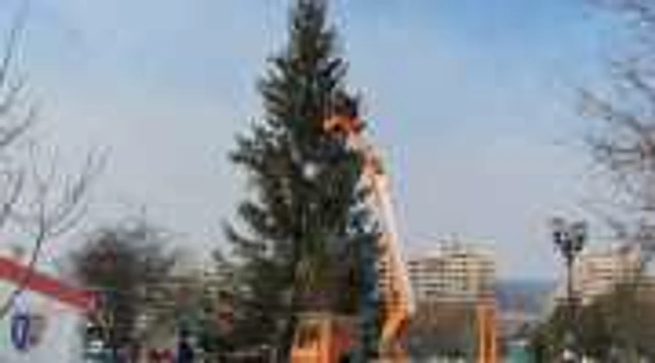 Bradul de Crăciun a fost amplasat în Parcul Unirii.