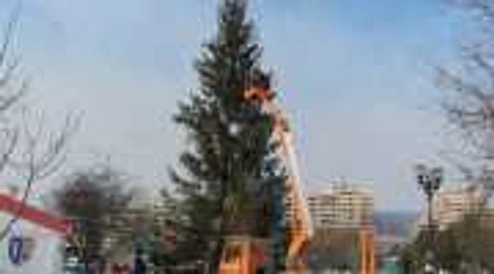 Bradul de Crăciun a fost amplasat în Parcul Unirii.