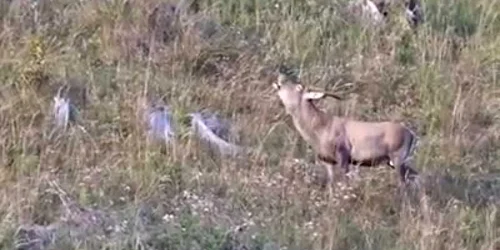 5f6df97e5163ec427150689a jpg