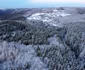 Tinutul Padurenilor Poiana Rachitelii iarna (30) JPG