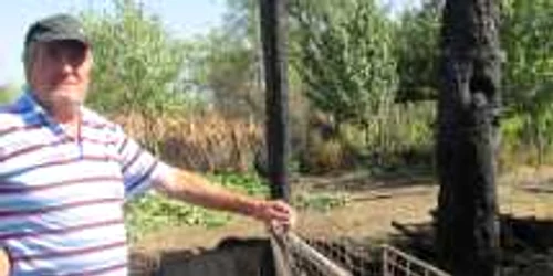 În câteva clipe, mare parte din agoniseala lui Ilie Mârza s-a dus pe apa sâmbetei