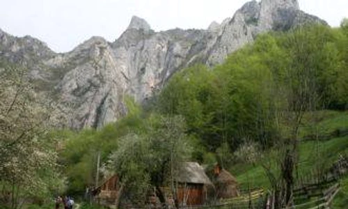 1 65165 original jpg jpeg