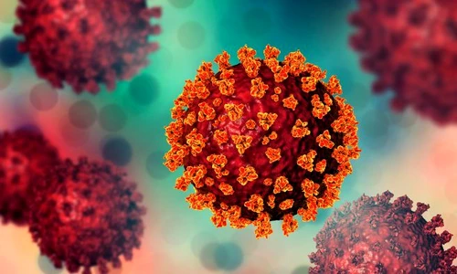 1 shutterstock 1697804203 jpg jpeg