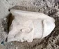 Două statui colosale, vechi de peste 3.000 de ani, descoperite în Egipt 