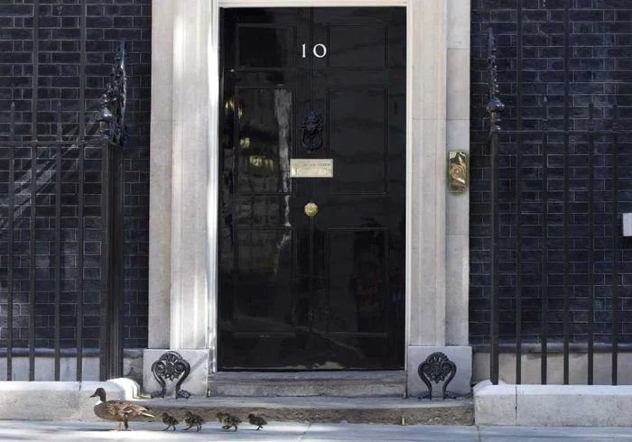 ratuste downing street 10 reuters