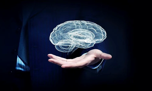 1 77995 original jpg jpeg