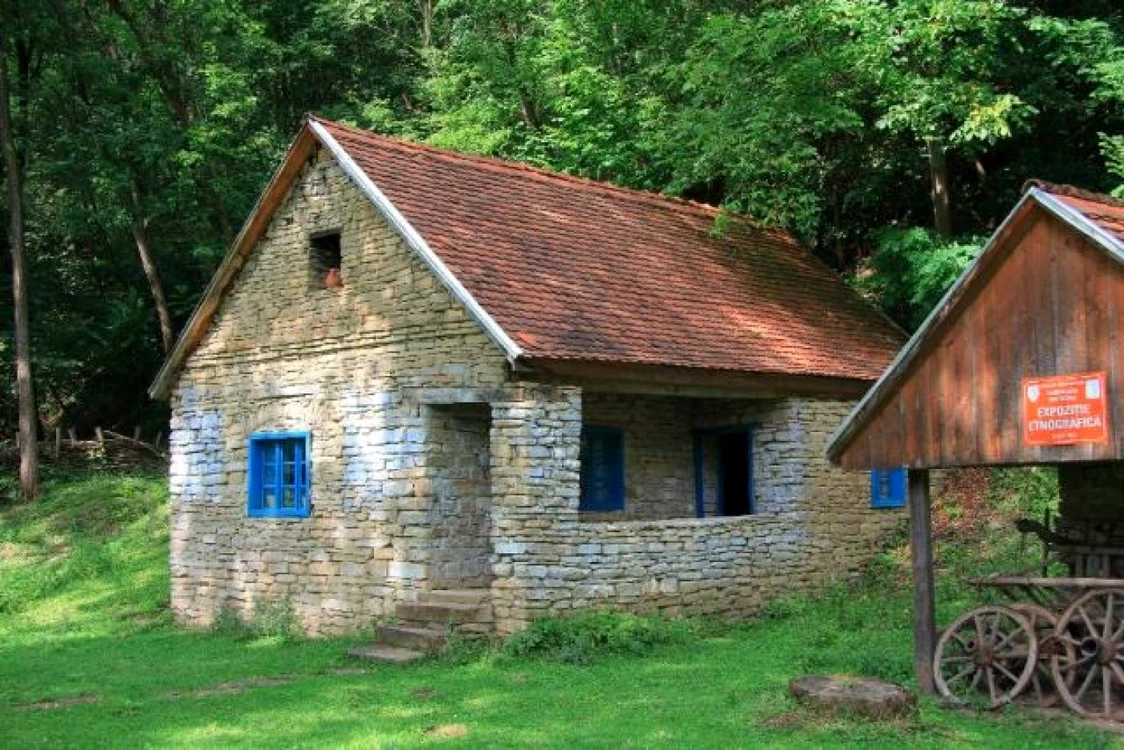 Locuinţă construită din piatră veche de 120 de ani