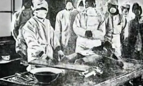 Scurtă istorie a bolilor infecţioase în Orientul Îndepărtat jpeg