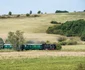 Mocăniţa de pe Valea Hârtibaciului - Sibiu Foto Radu Tompa