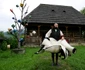 romania foto lucian muntean 034 JPG