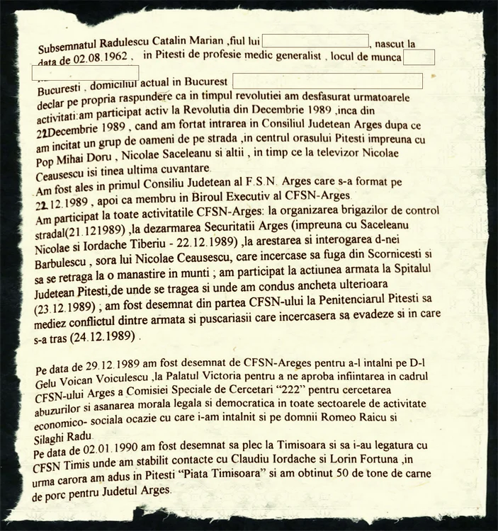 Declarație Cătălin Rădulescu FOTO Corneliu Vaida