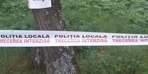 Bujorii au fost distruşi anul acesta de grindina care a căzut în urmă cu trei zile