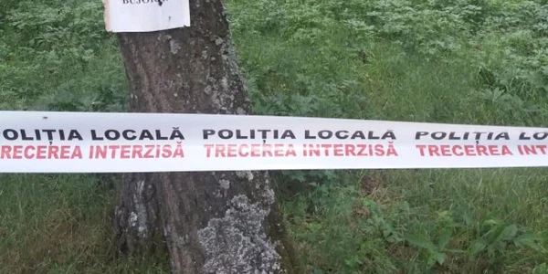 Bujorii au fost distruşi anul acesta de grindina care a căzut în urmă cu trei zile