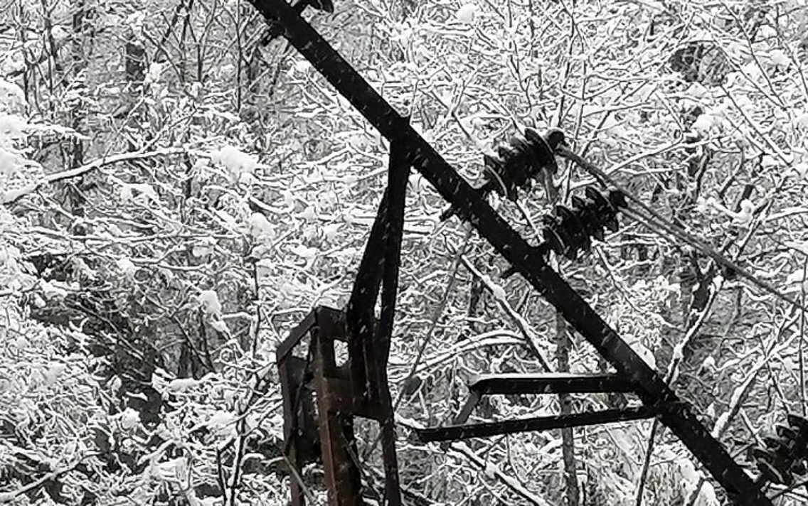 copaci prabusiti la rausor foto salvamont hunedoara