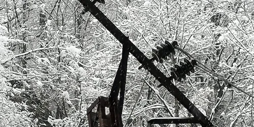 copaci prabusiti la rausor foto salvamont hunedoara