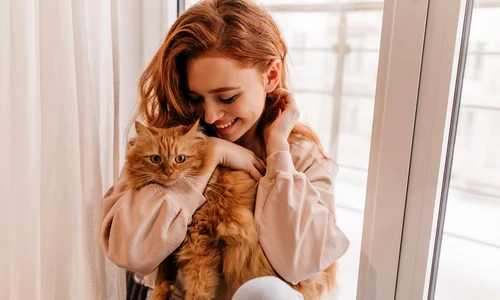 relaxed smiling girl playing with her fluffy cat indoor shot amazing lady holding pet jpg