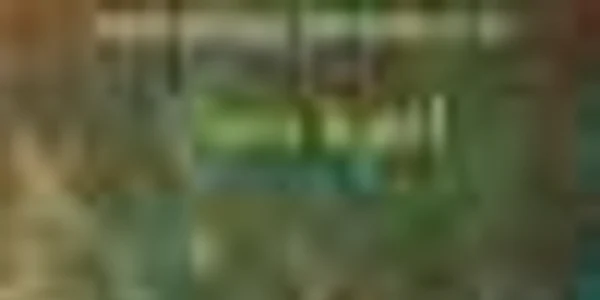 Nora Iuga 