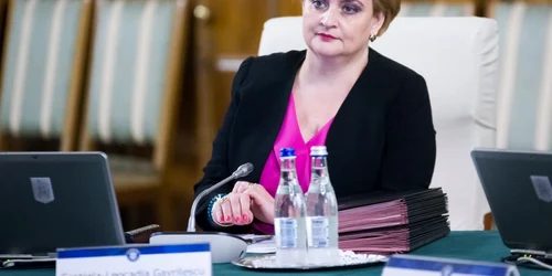 Graţiela Gavrilescu FOTO gov.ro