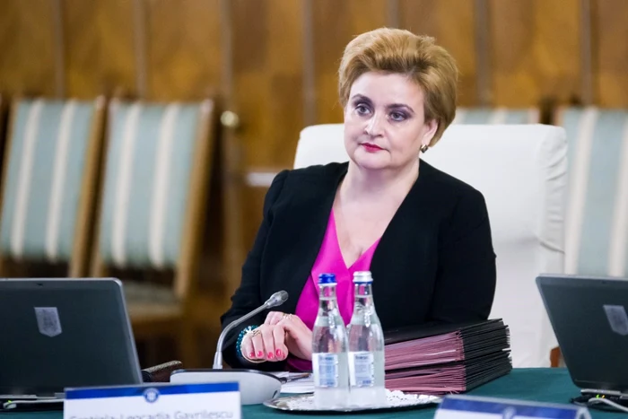 Graţiela Gavrilescu FOTO gov.ro