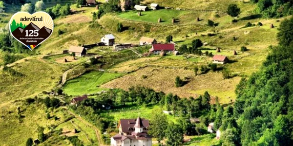 campanie alba