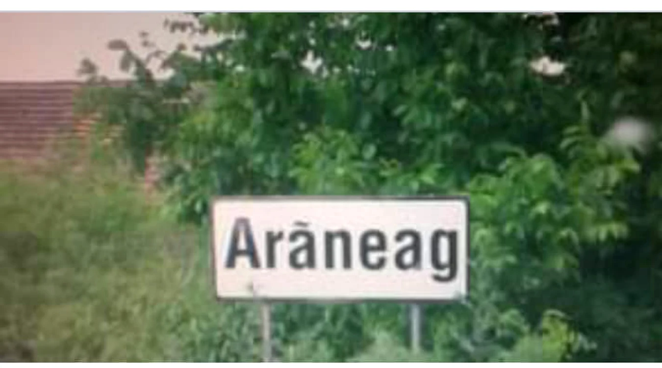 Faptele abominabile s-au petrecut în localitatea Arăneag din județul Arad FOTO Facebook