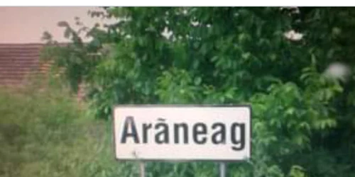araneag jpg