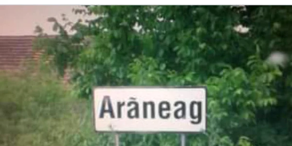 araneag jpg