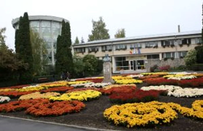 Expozitia Flori de Toamna la Gradina Botanica