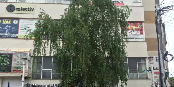 Memorialul Colectiv