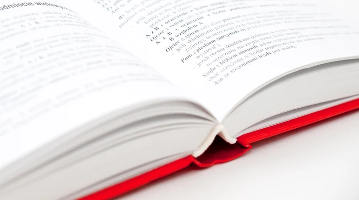 „Brain Rot” a fost desemnat cuvântul anului 2024 Foto: Pexels