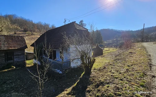 Satul Dănulești din Hunedoara Foto Daniel Guță ADEVĂRUL (39) jpg