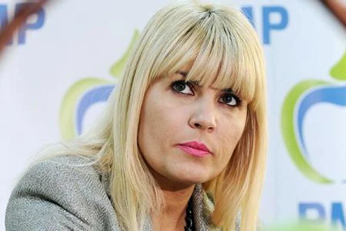 Elena Udrea a vorbit deschis cu prietenii ei pe Facebook