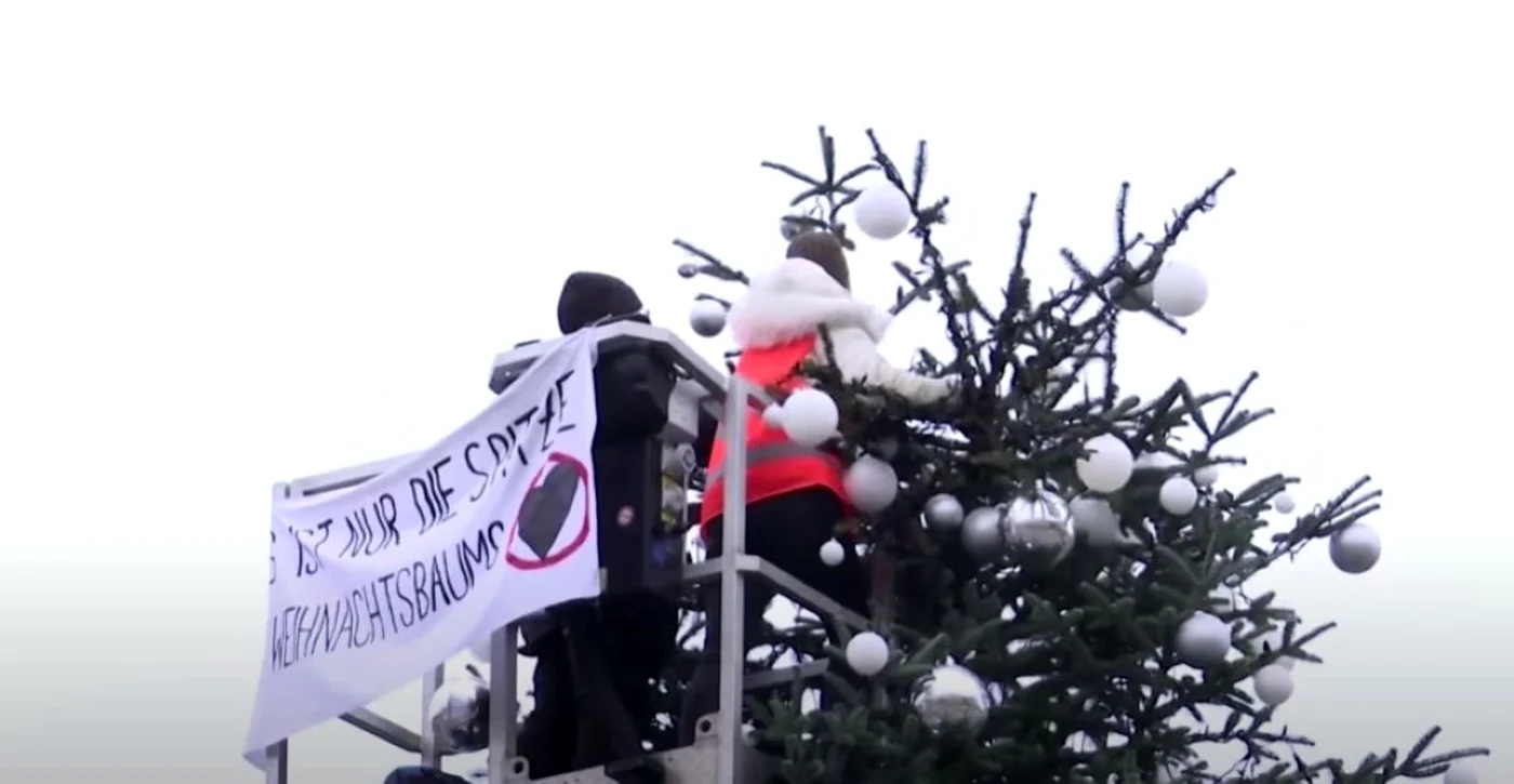 Activistele au tăiat „doi metri" din vârful copacului. Foto: Captură video YouTube