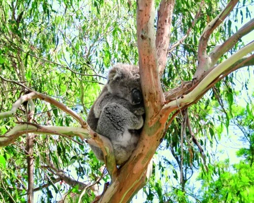 1 46347 original jpg jpeg