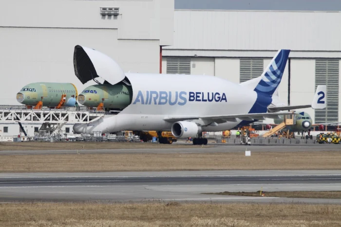 Airbus Beluga, considerat cel mai mare avion de transport din lume operaţional în prezent, este o versiune a avionului de pasageri A300-600 modificată pentru a transporta mărfuri de dimensiuni foarte mari FOTO Wikipedia