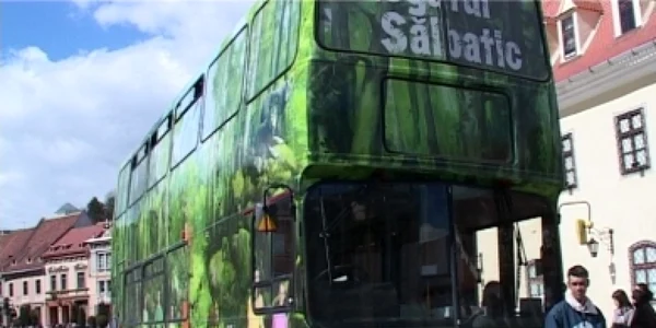 regatul salbatic