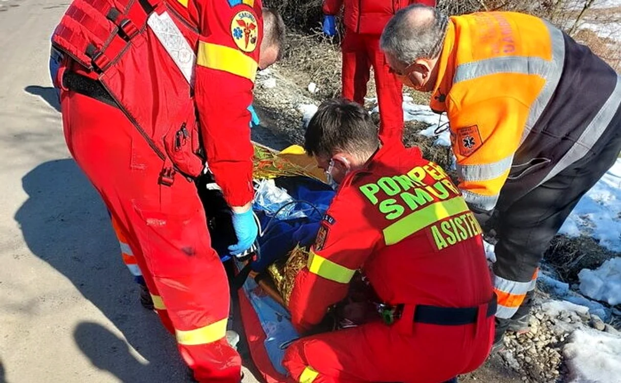Femeie în vârstă de 90 de ani, sfâșiată de câinele din curtea sa. FOTO cronica-gaestiului.ro