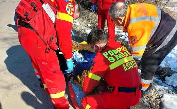 Femeie în vârstă de 90 de ani, sfâșiată de câinele din curtea sa. FOTO cronica-gaestiului.ro