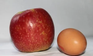 1 2 png png