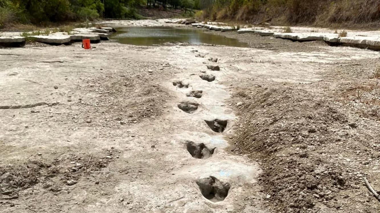 Urmele descoperite în Texas, din cauza secetei extreme 