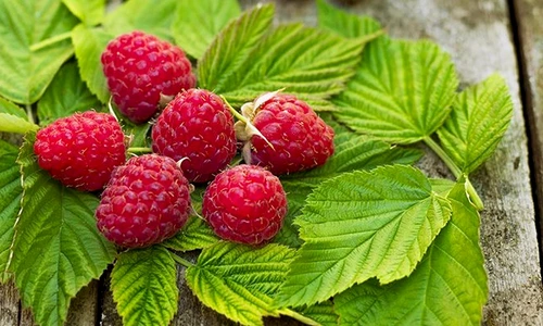 1 74926 original jpg jpeg