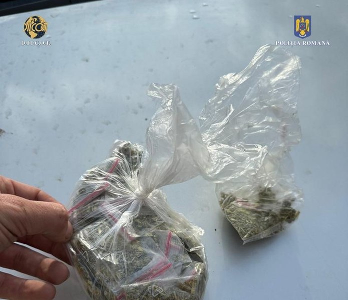 Indivizi din Motru, prinși în trafic cu droguri. Ei aveau substanțele în mașină 