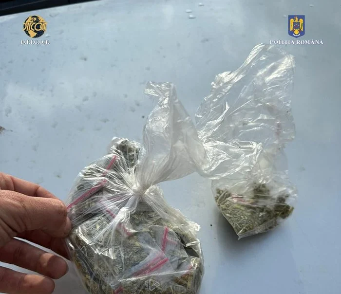 Mașina era plină cu substanțe cu efect psihoactiv Foto: Poliția Gorj