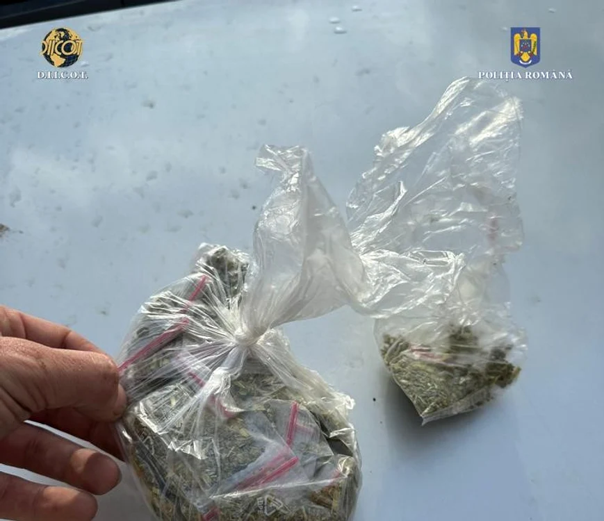 Mașina era plină cu substanțe cu efect psihoactiv Foto: Poliția Gorj