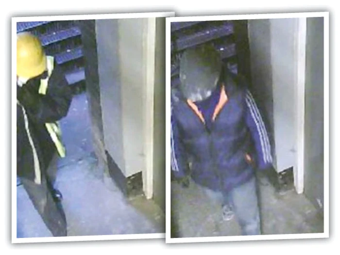 Tâlharii, surprinşi de camerele de supraveghere