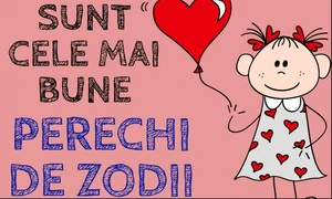 perechi de zodii 27172900 jpeg