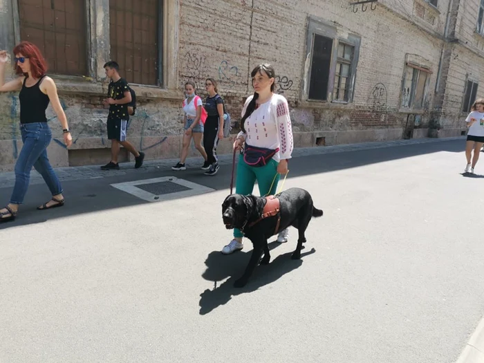 Câine ghid pentru nevăzători FOTO Ş.Both