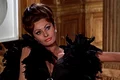 Sophia Loren 88 (11) jpg