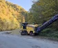 Drumul spre Lacul Gura Apelor  Foto Daniel Guță ADEVĂRUL (5) jpg