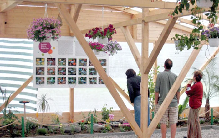 Turiştii pot observa întregul ciclu de  viaţă al fluturilor, de la cocon la omizi